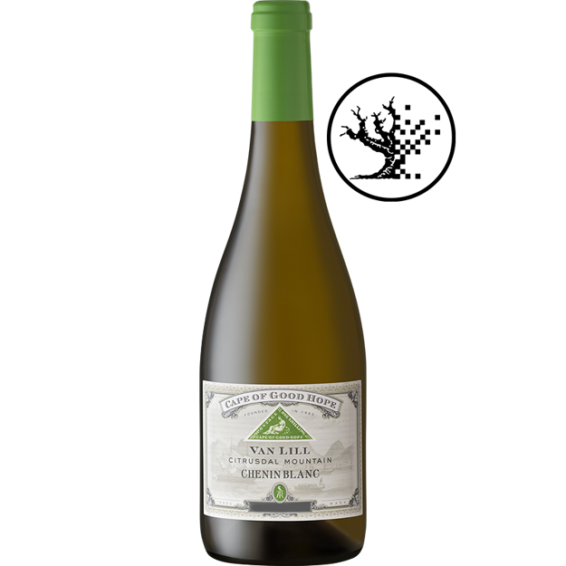 Picture of CAPE OF GOOD HOPE VAN LILL CHENIN BLANC 2025