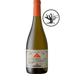 Picture of KAAP DE GOEDE HOOP GROENDRUIF (SEMILLON) 2025