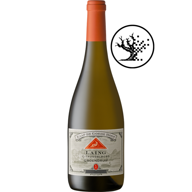 Picture of KAAP DE GOEDE HOOP GROENDRUIF (SEMILLON) 2025
